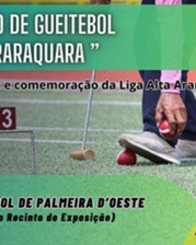 51torneiodegueitebolaltaaraquarara400