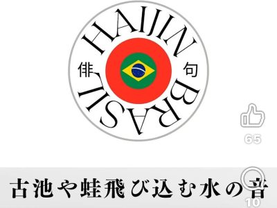 haijinbrasil
