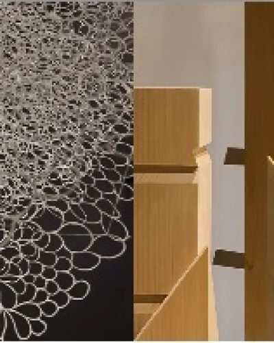 visitasmediadasjapanhouse
